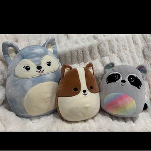 Squishmallows Blue Fox, Brown Guinea Pig, Gray Raccoon Plush Set